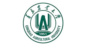 PG���ʹ���