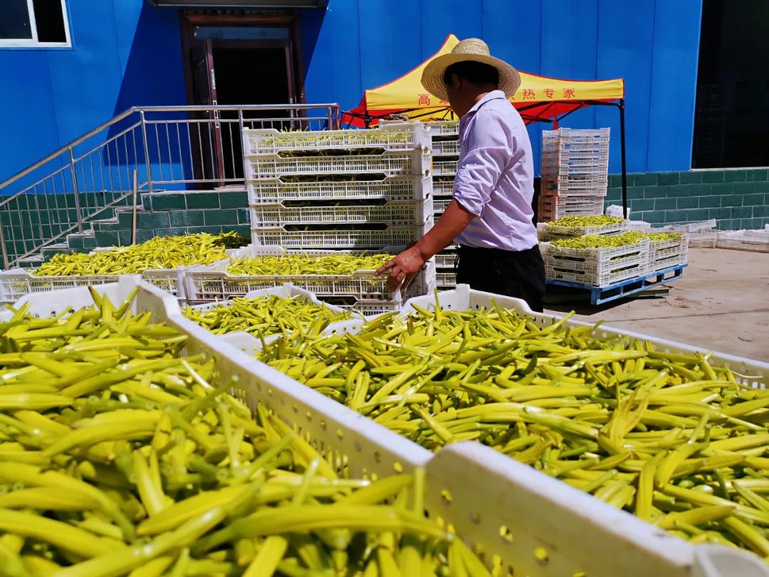 PG���ʹ���