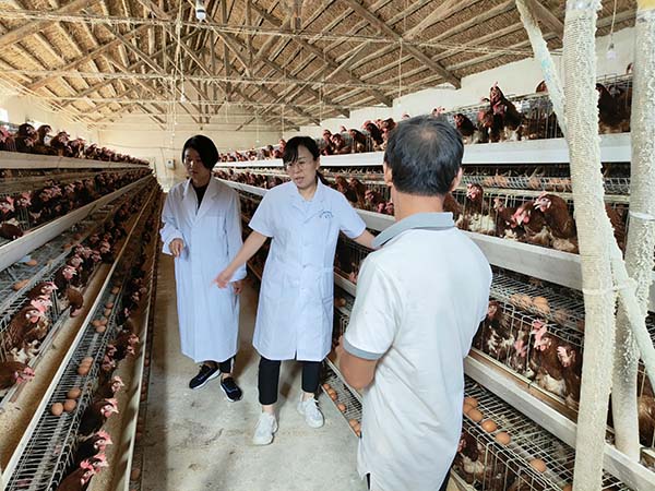 PG���ʹ���