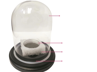 PG���ʹ���